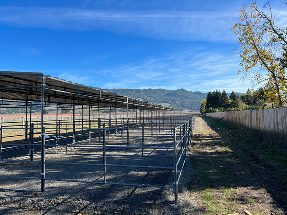 Mare Motel Shed Row with (4) 12x24 Stalls and 10ft Breezeway 4-Rail